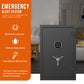 FIREPROOF SAFE-RPEFS66