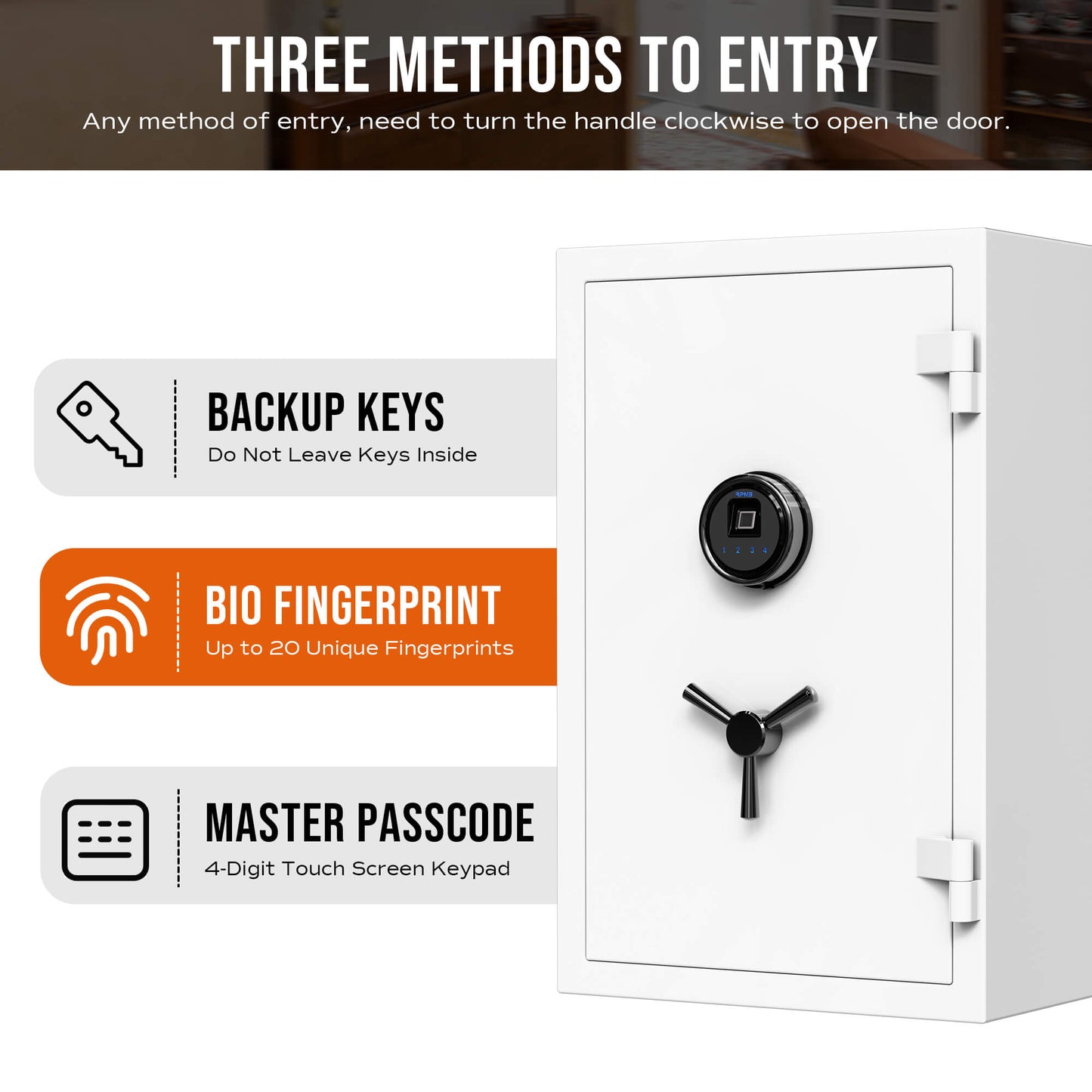 FIREPROOF SAFE-RPFS66W