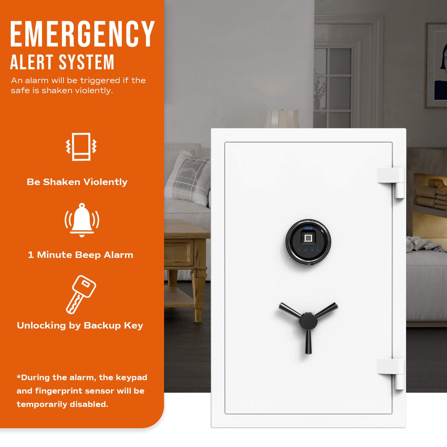FIREPROOF SAFE-RPFS66W